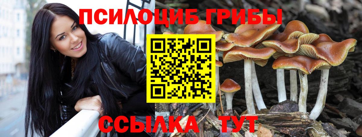 Галлюциногенные грибы MAGIC MUSHROOMS Якутск