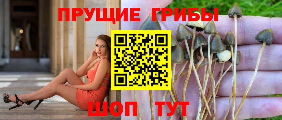 Галлюциногенные грибы Psilocybe  Псилоцибиновые грибы Cubensis  где можно купить   Якутск  Вход с VPN 